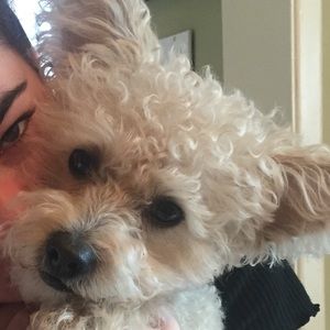 Meet your Posher, Sandra